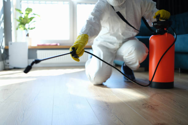 Reliable Sewage Cleanup contractor in Oldwick, NJ by Trauma Clean Pros